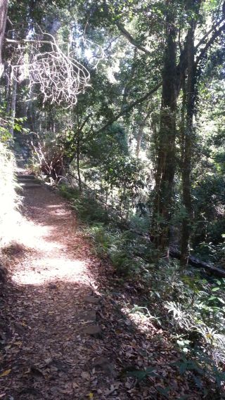 Park rangers do a great job keeping trails accessable